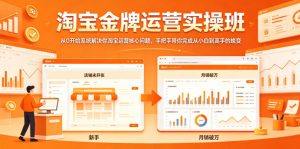 淘宝金牌运营实操班,从0开始系统解决你淘宝运营核心问题,手把手带你完成从小白到高手的蜕变-木子聊项目