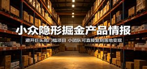 小众隐形掘金产品情报：避开巨头高门槛项目，小团队可直接复刻落地变现-木子聊项目