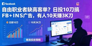 自由职业者缺高客单？日投10刀搞FB+INS广告，有人10天赚3K刀！【原创双语字幕】-木子聊项目