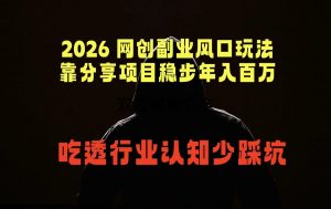 2026 网创副业风口玩法,靠分享项目稳步年入百万,吃透行业认知少踩坑-木子聊项目
