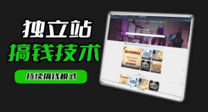 干货来袭!麦子甜带你吃透独立站|从搭建到引流一站式教学《独立站》第一期-木子聊项目