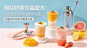 网红奶茶饮品配方:台式港式果茶奶盖杨枝甘露,完整资料包制作教程合集-木子聊项目