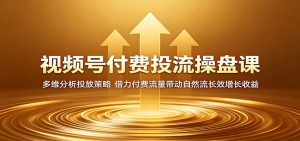 视频号付费投流操盘课：多维分析投放策略，借力付费流量带动自然流长效增长收益-木子聊项目