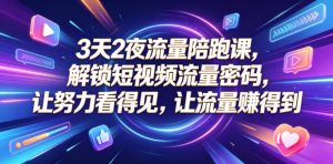 3天2夜流量陪跑课，解锁短视频流量密码，让努力看得见，让流量賺得到-木子聊项目