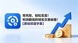零风险，轻松买卖！利润翻倍的域名交易秘籍！【原创双语字幕】-木子聊项目