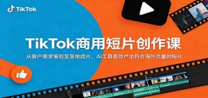 TikTok商用短片创作课：从客户需求策划至落地成片，AI工具高效产出符合海外流量的短片-木子聊项目