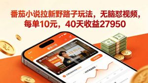 番茄小说拉新野路子玩法，无脑怼视频，每单10元，40天收益27950-木子聊项目