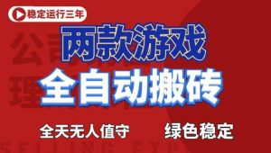 海外游戏全自动搬砖，日入1k+，全天无人值守，绿色稳定！【揭秘】-木子聊项目