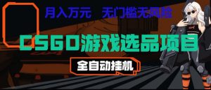 CSGO游戏自动扫货项目，全自动运行，月入1W，无风险，长期稳定可以做【揭秘】-木子聊项目