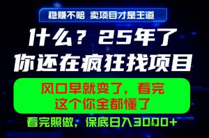 26年,请不要疯狂的找项目做了!卖项目才是真的稳賺不赔,看完照做,保底日入1k+【揭秘】-木子聊项目