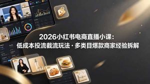 2026小红书电商直播小课,低成本投流截流玩法,多类目爆款商家经验完整拆解教学-木子聊项目