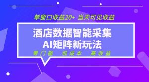 2026酒店数据采集ai智能矩阵新风口 低成本 高收益 当天见收益 单窗口20+-木子聊项目