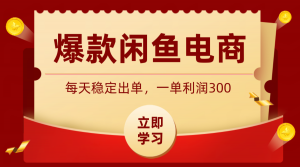 爆款闲鱼电商,卖法简单粗暴,长期稳定可做,一单利润300-木子聊项目