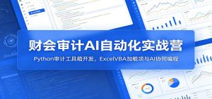 财会审计AI自动化实战营：Python审计工具箱开发，ExcelVBA加载项与AI协同编程-木子聊项目