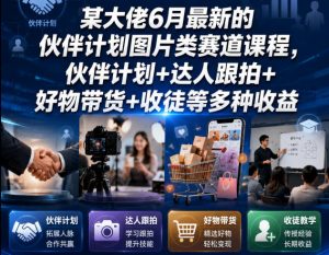某大佬6月最新的伙伴计划图片类赛道课程，伙伴计划+达人跟拍+好物带货+收徒等多种收益-木子聊项目