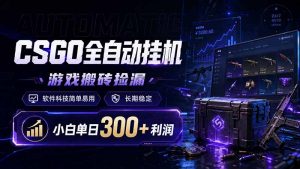 CSGO全自动挂机，游戏搬砖捡漏，软件科技简单易用，长期稳定，小白单日300+利润-木子聊项目
