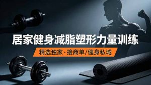 抖音健身热门短视频教学：居家健身减脂塑形力量训练，精选独家，接商单或者健身私域-木子聊项目