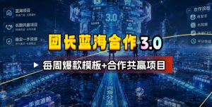 团长蓝海合作3.0，每周爆款模板+合作共赢项目-木子聊项目