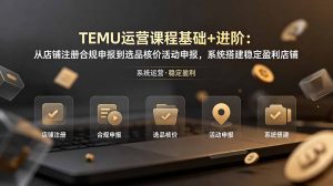 TEMU运营课程(基础+进阶-木子聊项目