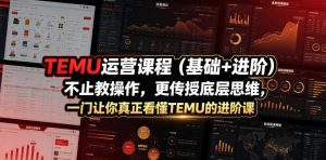 TEMU运营课程(基础+进阶)，不止教操作，更传授底层思维，一门让你真正看懂TEMU的进阶课-木子聊项目