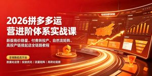 2026拼多多运营进阶体系实战课|新版拖价稳量、付费转投产、自然流矩阵、高投产链接起店全链路教程-木子聊项目
