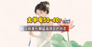 【大羊毛】几分钟30-40r，【流量体联盟】，可以矩阵，操作无脑简单-木子聊项目