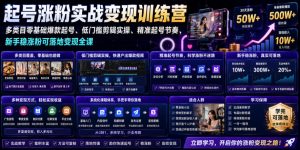 苗子起号涨粉实战变现训练营,多类目零基础爆款起号、精准起号节奏、新手稳涨粉可落地变现全课-木子聊项目