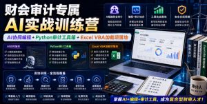 财会审计专属AI实战训练营｜AI协同编程+Python审计工具箱+Excel VBA加载项落地(更新0710)-木子聊项目