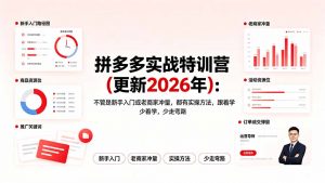 拼多多实战特训营(更新2026年-木子聊项目