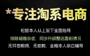 松鼠会电商VIP课程，从基础布局到高阶优化，助你掌握淘宝运营逻辑，提升店铺流量与转化(更新0711)-木子聊项目