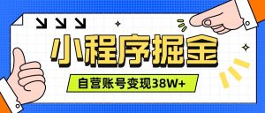 微信小程序掘金，团队自营小程序累计变现38W+，稳定运营三年，一部手机即可操作-木子聊项目
